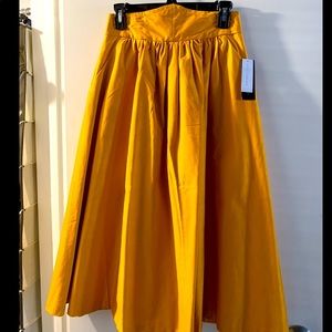 NWT beautiful high waisted NYC skirt